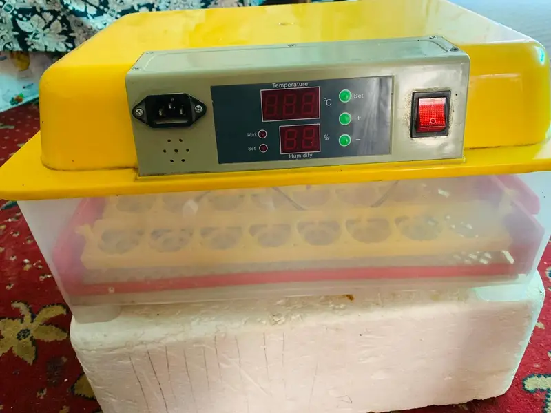 New digital incubator (48) eggs capacity only 1 month used /Digital — photo 7