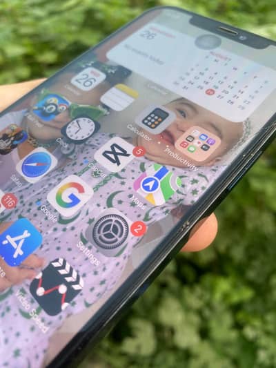 Apple iPhone 12 Pro Max 256 gb 03187956144