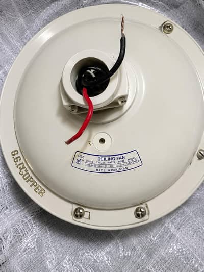 G. G. C copper fans for sel 56" (8 pieces)