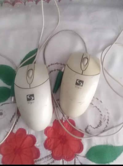 Computer mouse pin wala ha 2 mouse hay