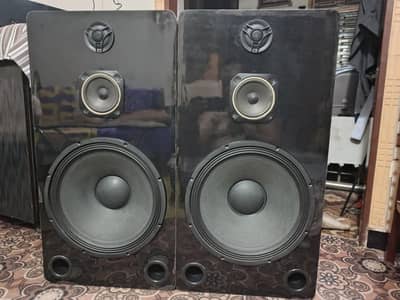 15 inch speaker pair only call 03355000081