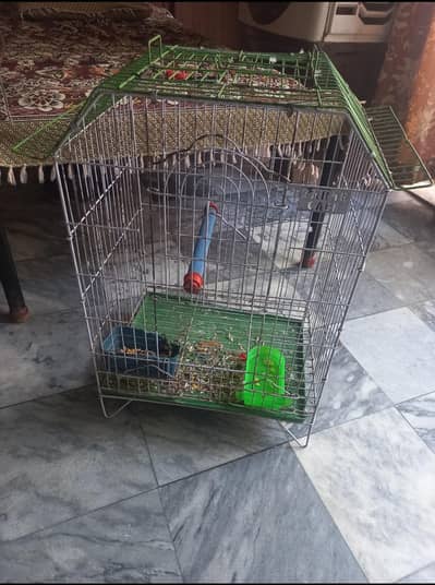 cage for sale