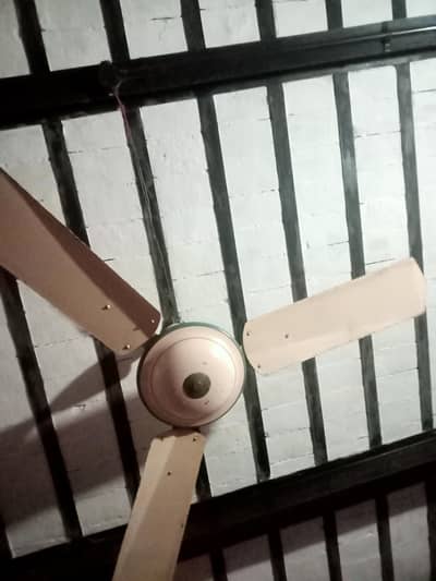 ceiling fan