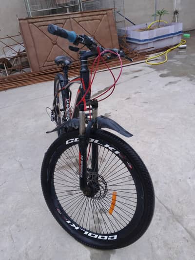 12 spring cycle