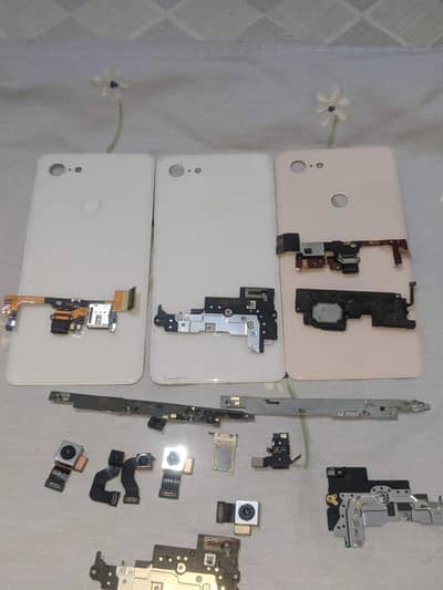 Google Other Model
