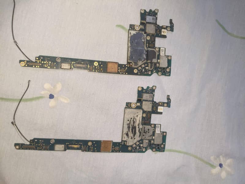 Google Other Model 5