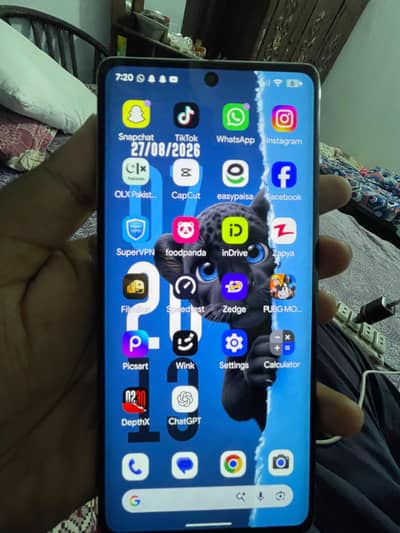 Google Pixel 7 Pro Panel change