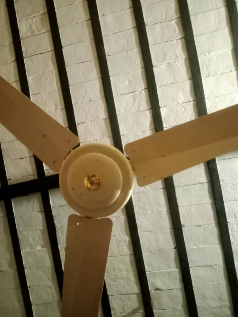 ceiling fan 0