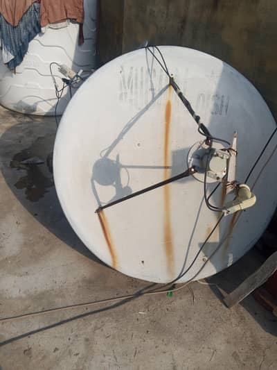 dis intina for sale