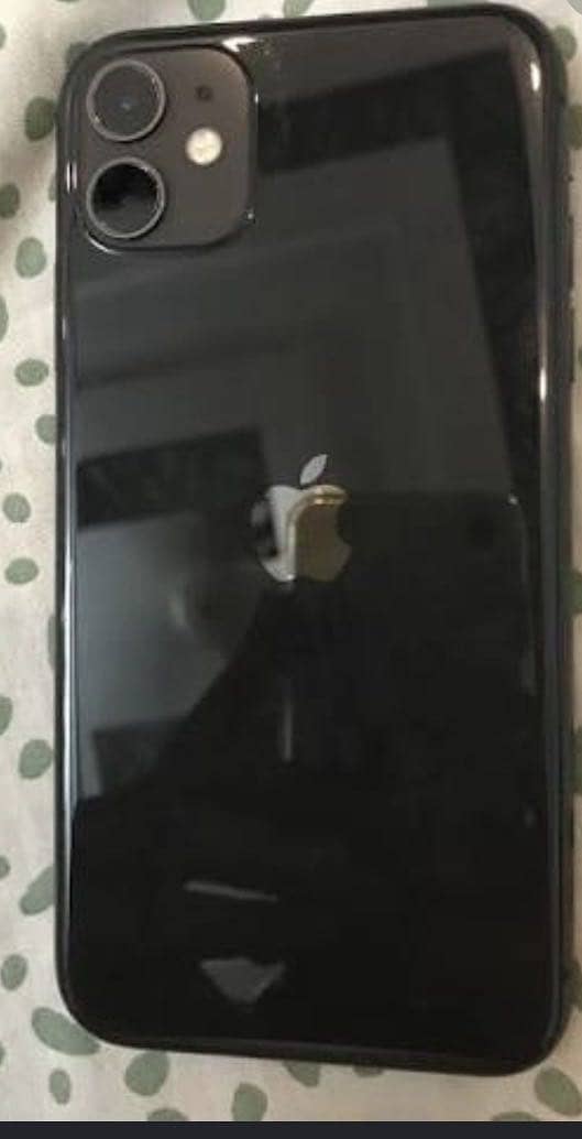 Apple iPhone 11 0