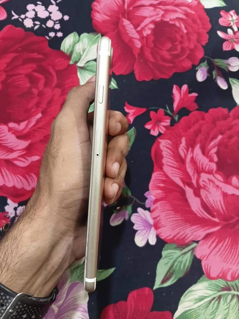 Apple iPhone 7 Plus 1