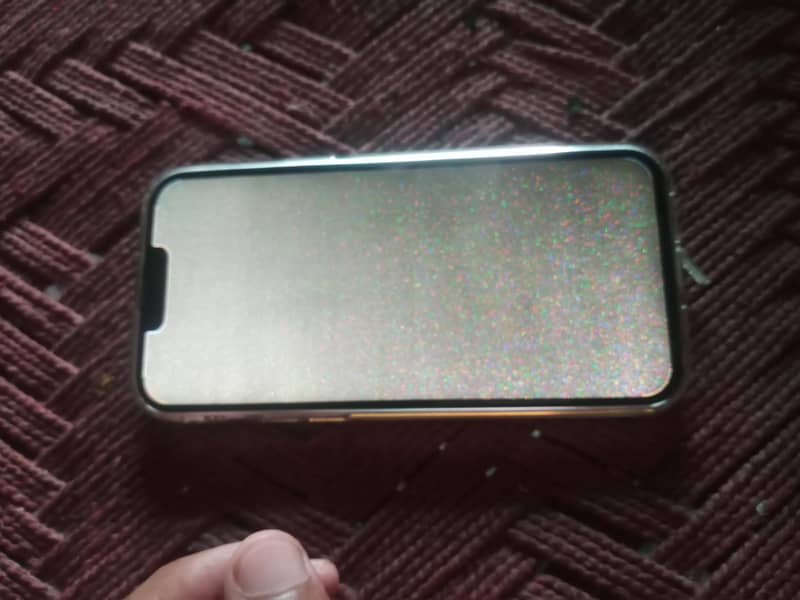 Apple iPhone 13 Pro Max 2
