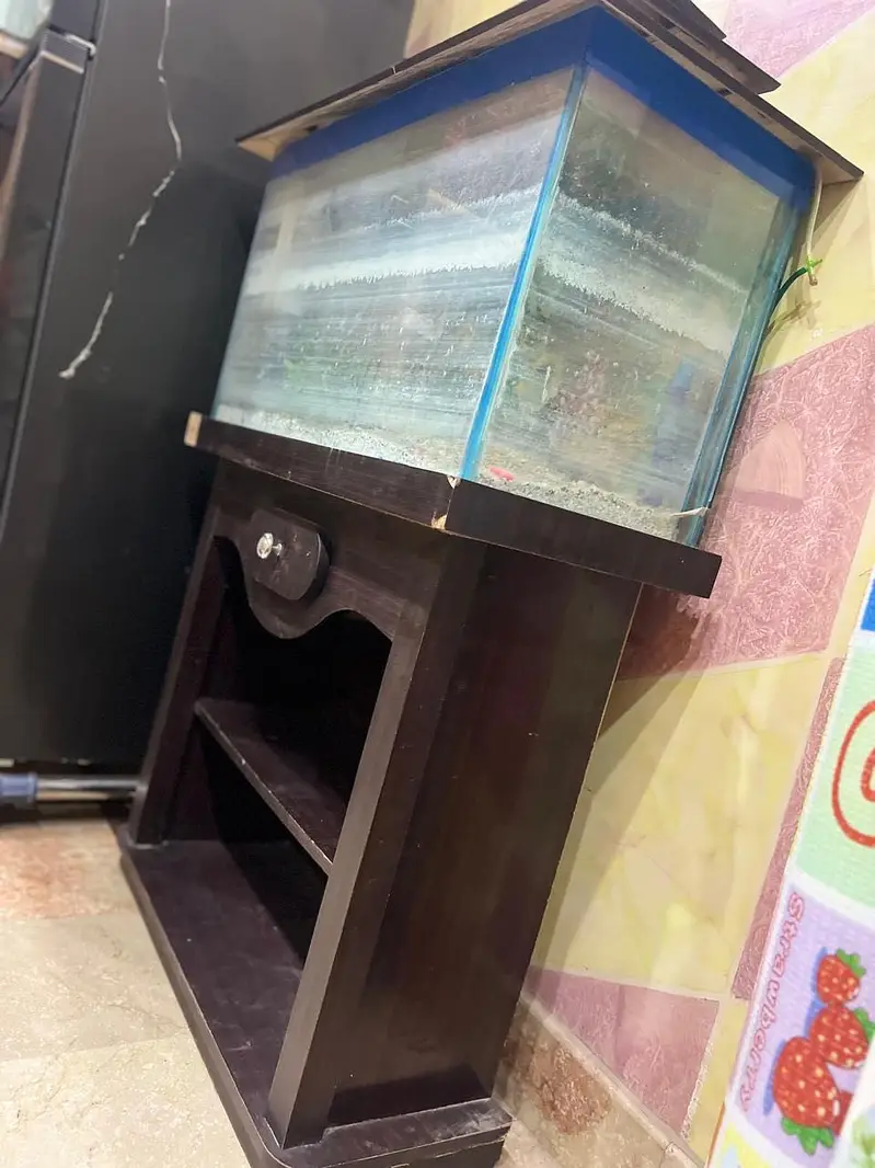 Aquarium