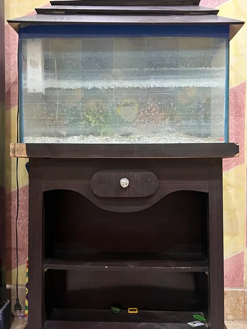 Aquarium — photo 2