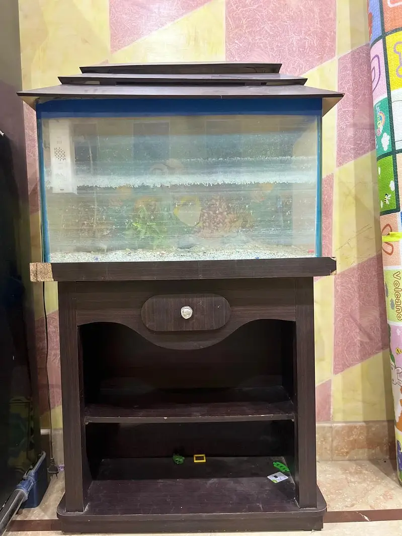 Aquarium — photo 3