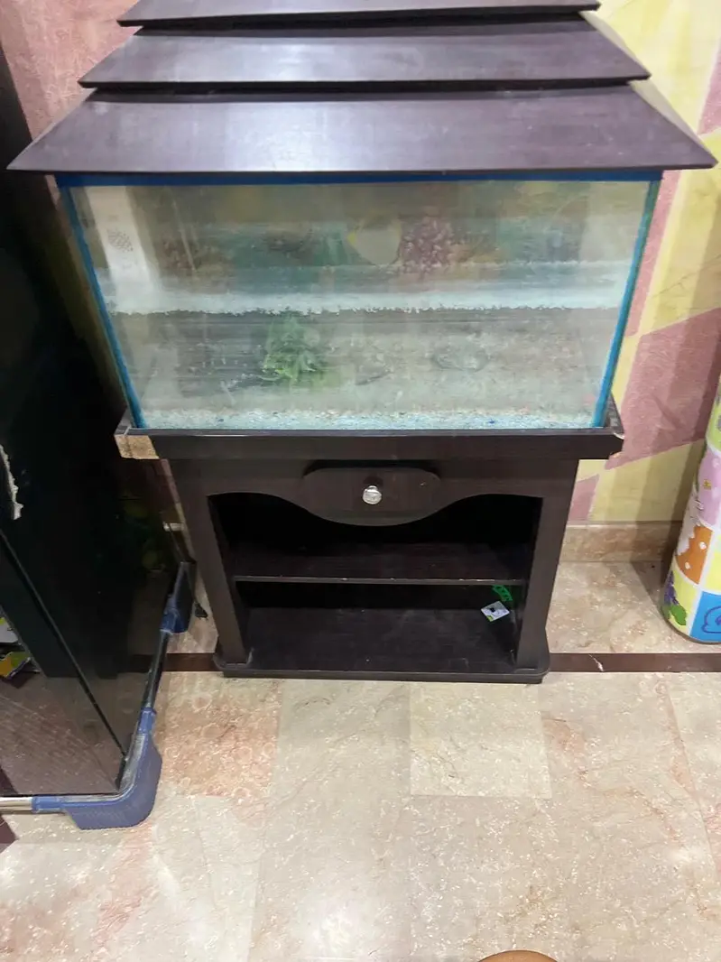 Aquarium — photo 4