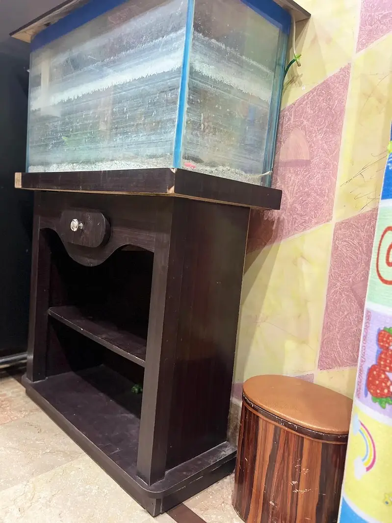 Aquarium — photo 6