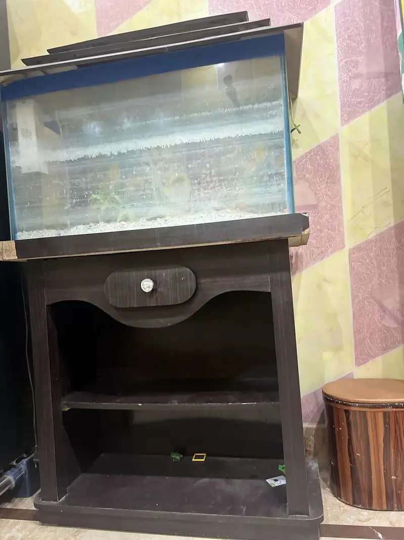 Aquarium — photo 7