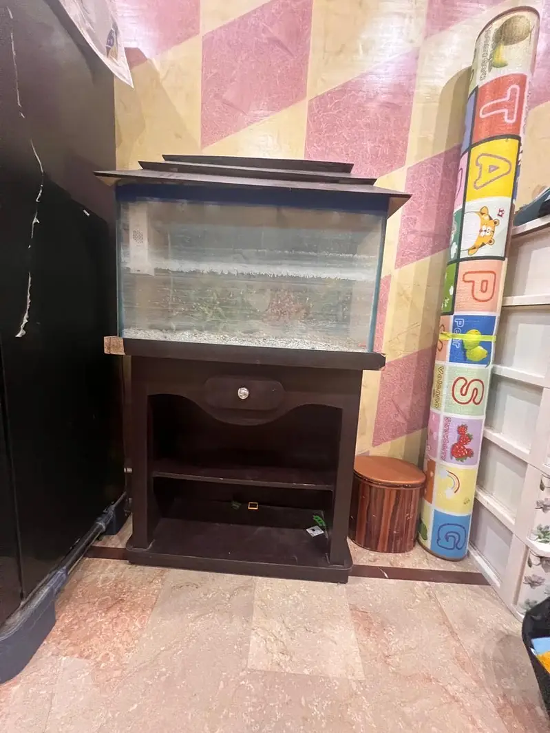 Aquarium — photo 8