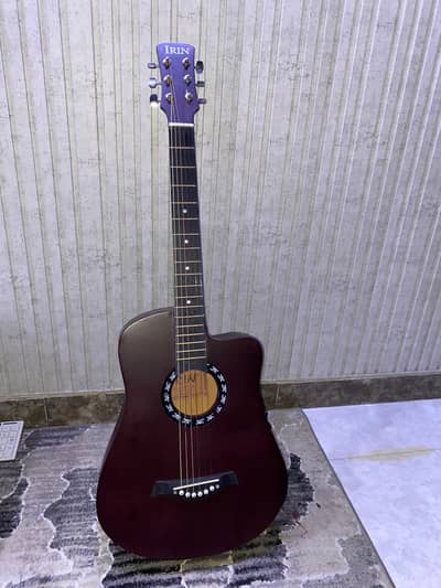 Acoustic Beginner Guitar