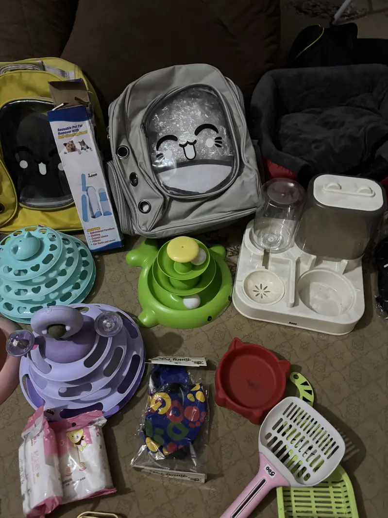 Pet accessories — photo 2