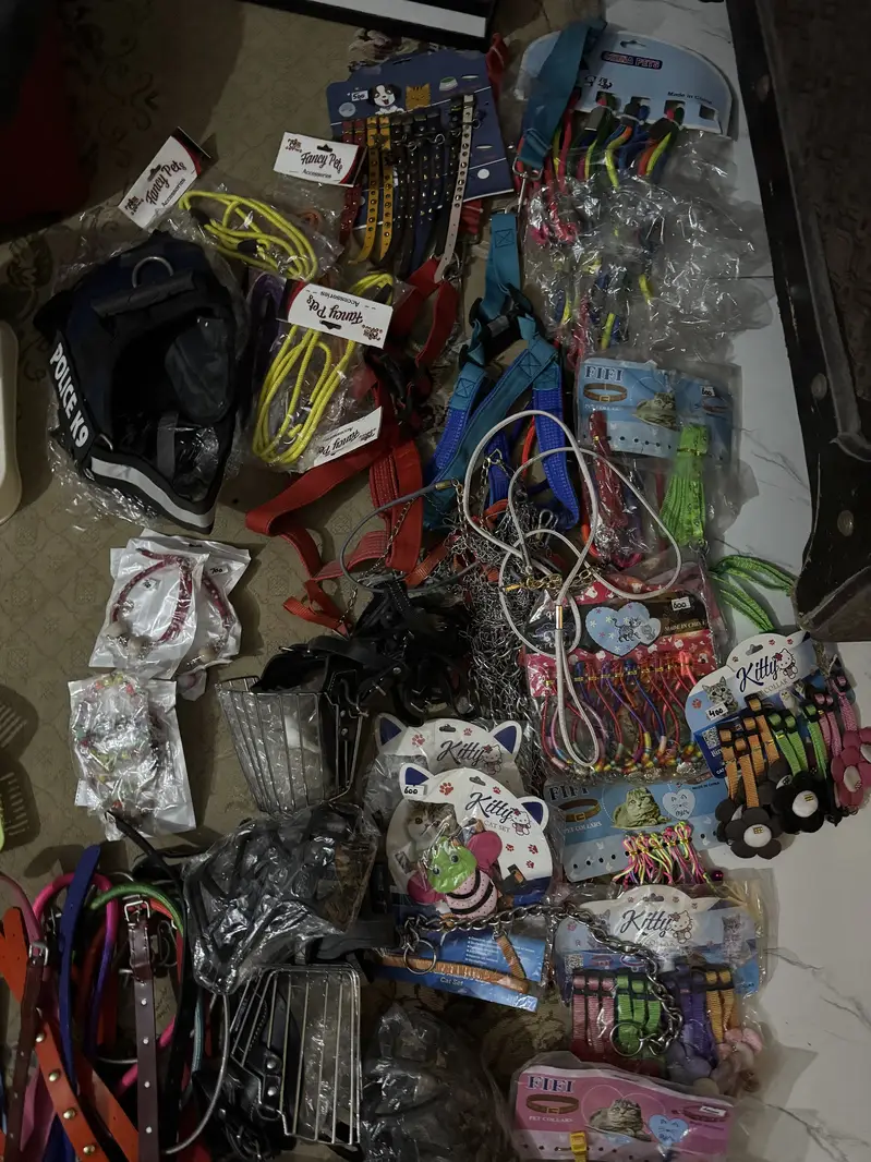 Pet accessories — photo 3