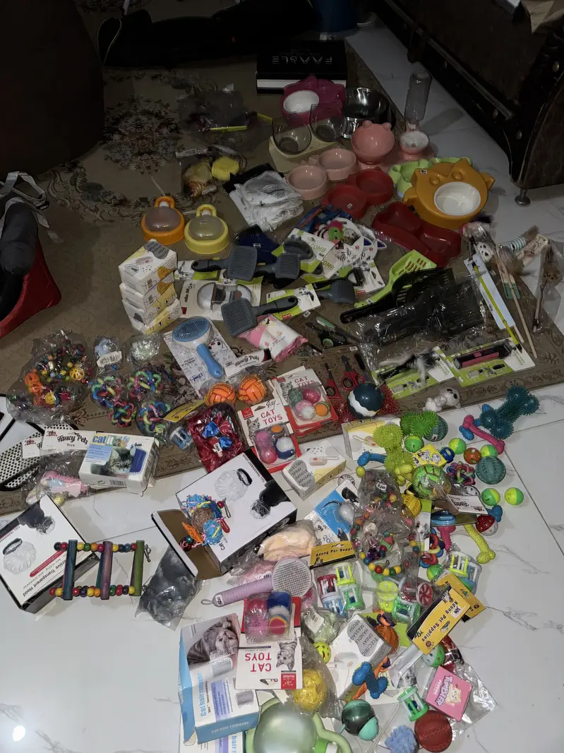 Pet accessories — photo 5