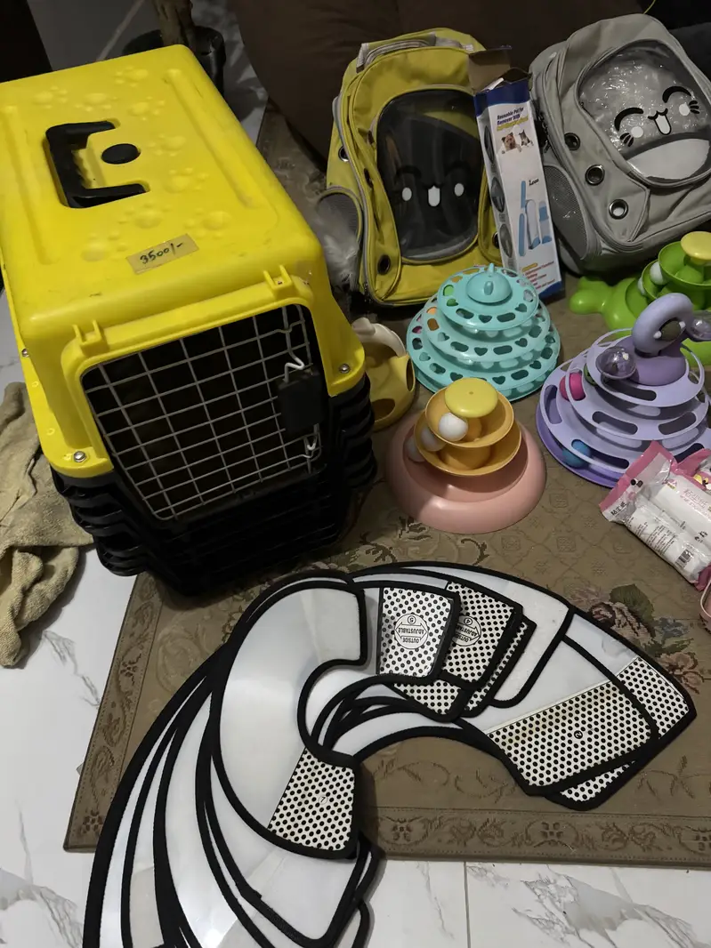 Pet accessories — photo 7
