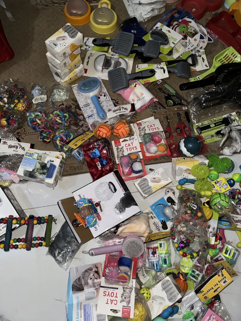Pet accessories — photo 8