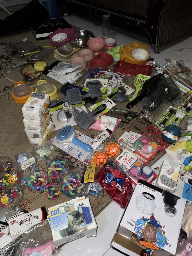 Pet accessories — photo 10