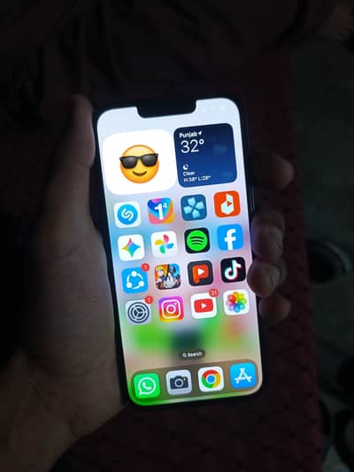 Apple iPhone 13
