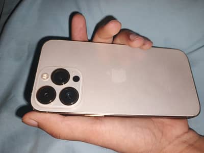 Apple iPhone 13 Pro