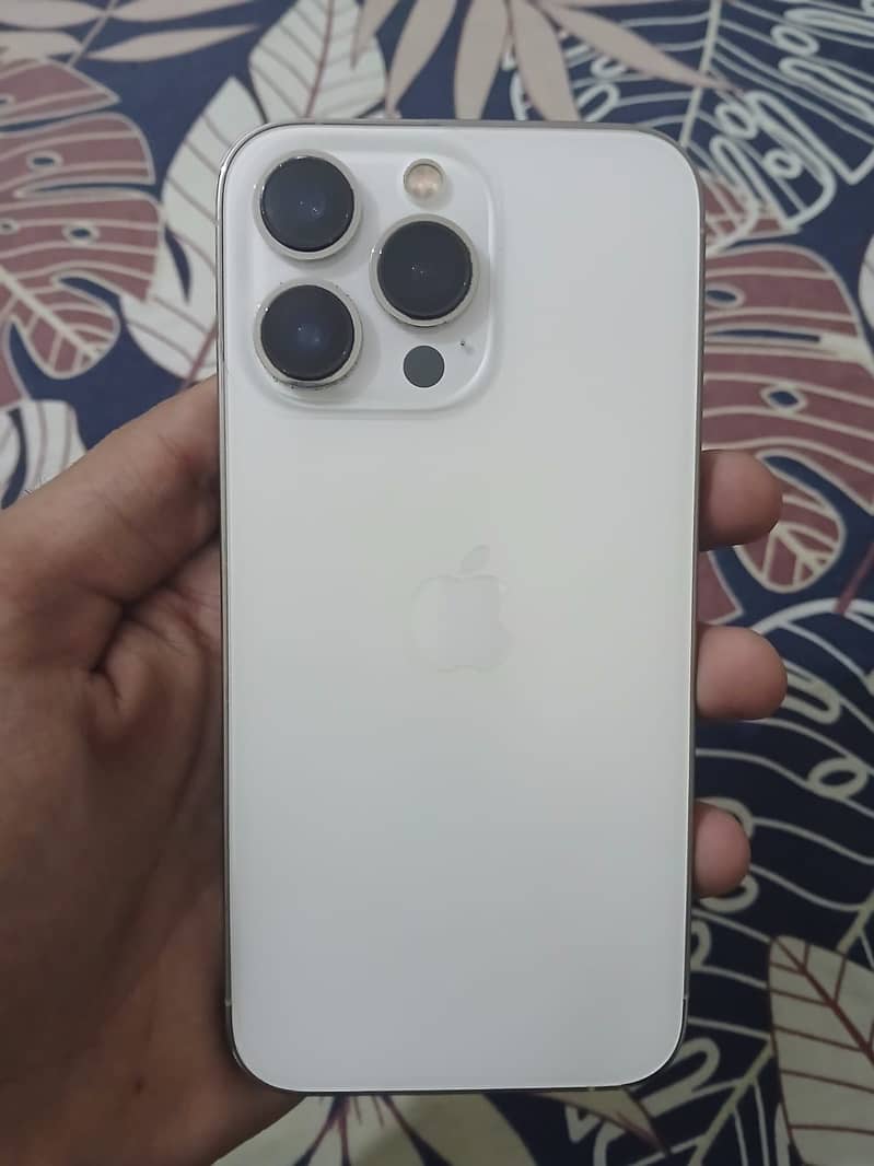Apple iPhone 13 Pro 1
