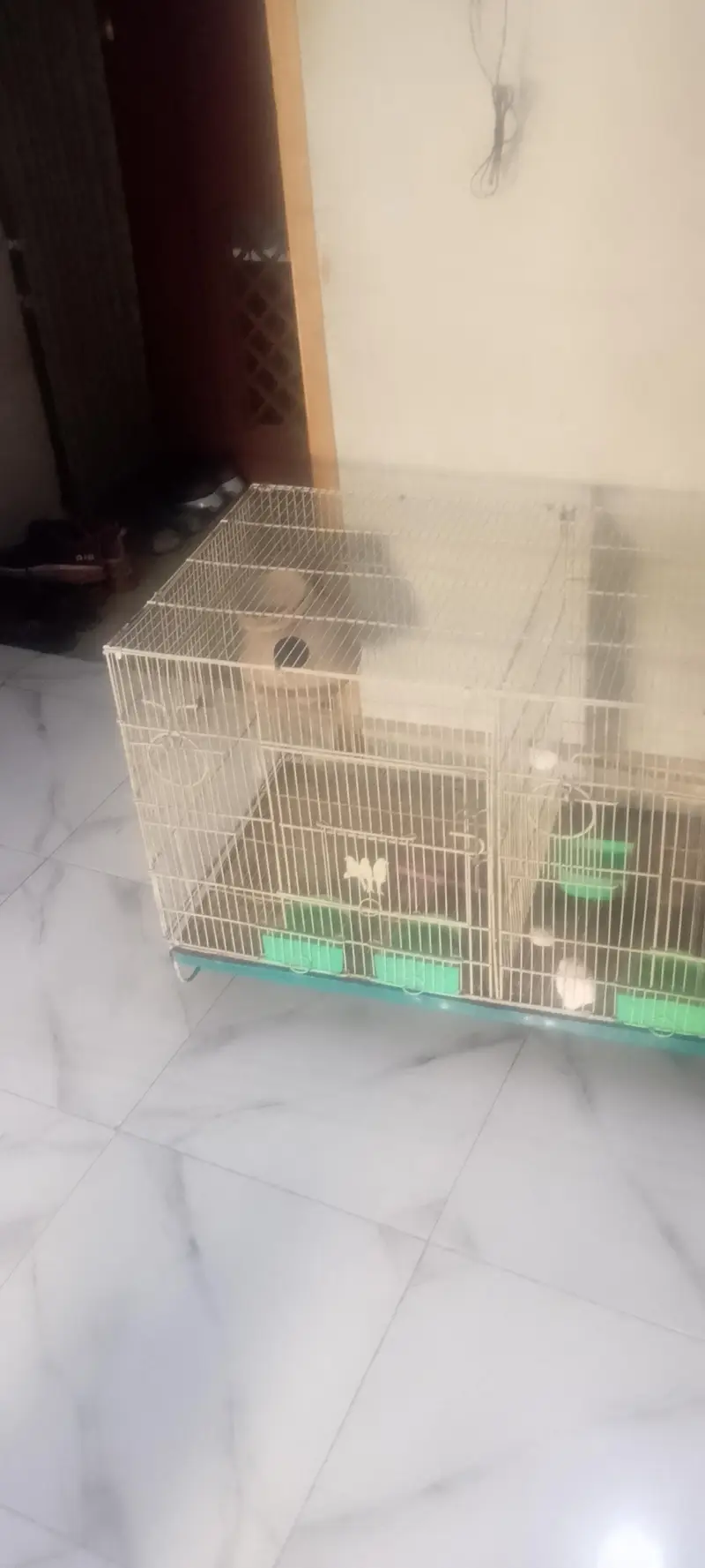 Beautiful Large Bird Cage for Sale" — photo 3
