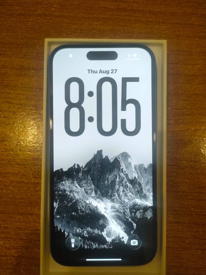 Apple iPhone 16 1