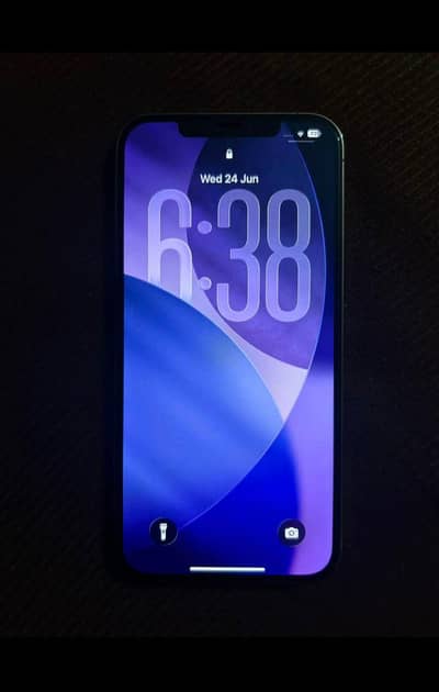 Apple iPhone 12 Pro Max