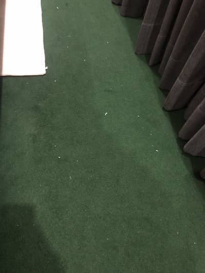 Wall to wall carpet for sale