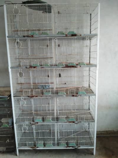 Parrot Paradise Custom Cages