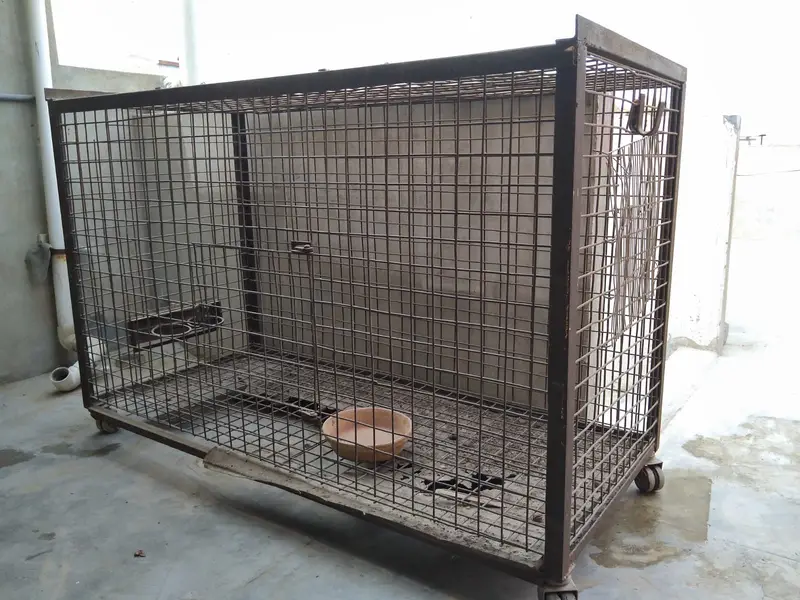 Parrot Paradise Custom Cages — photo 2