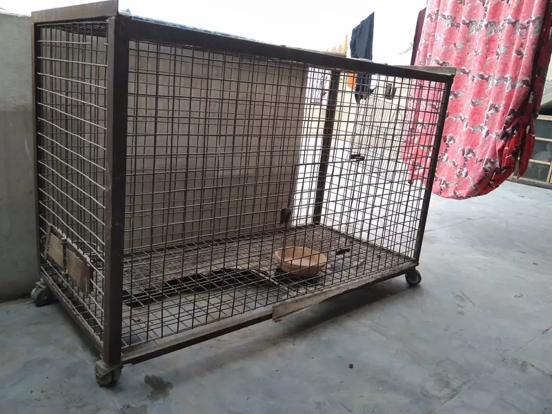Parrot Paradise Custom Cages — photo 3