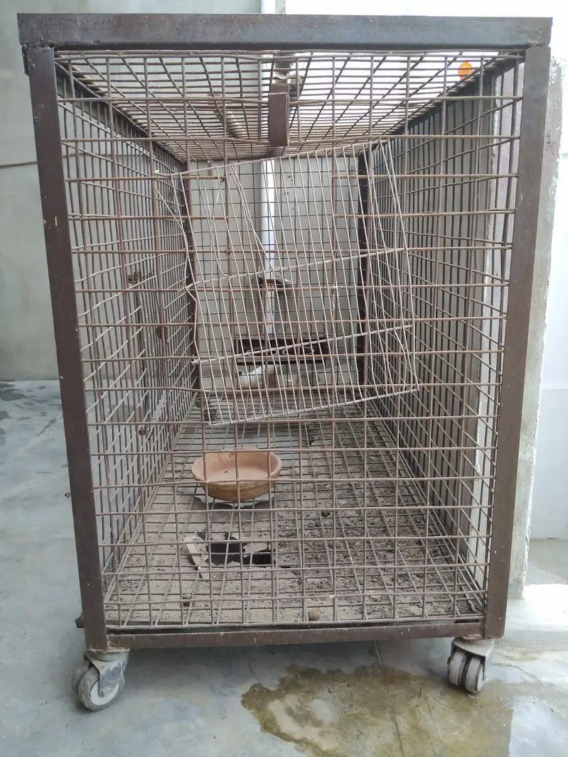 Parrot Paradise Custom Cages — photo 4