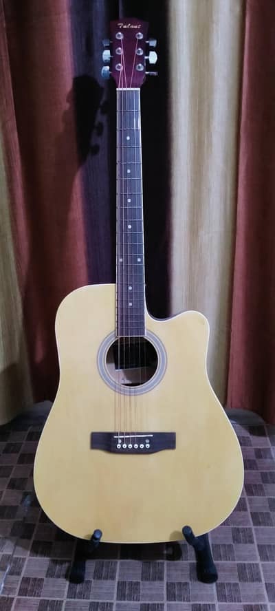 Semi Acoustic Guitar
