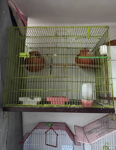 Love bird cage for sale