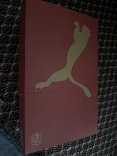 Puma future 8