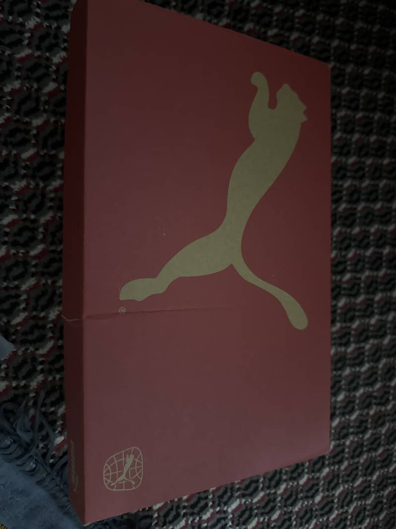 Puma future 8 0