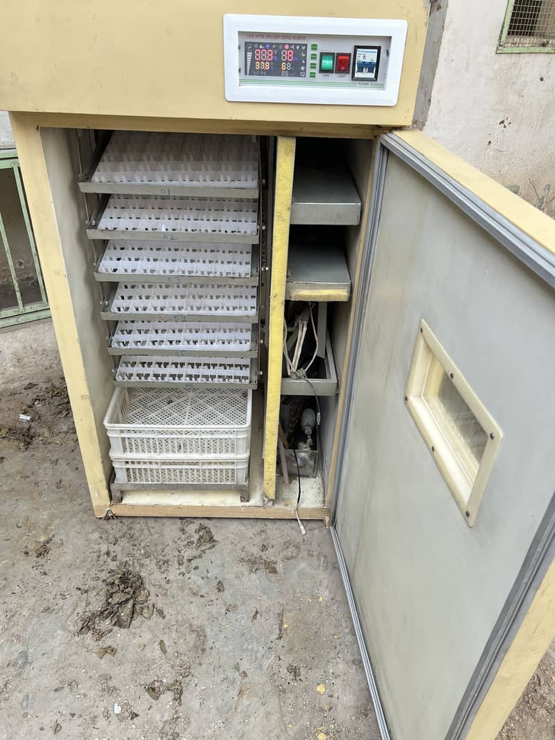 Incubator 1