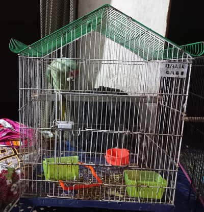 parrot cage for sale