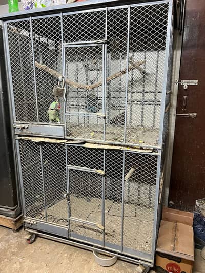 Double Cage for Pahari, Grey Parrot