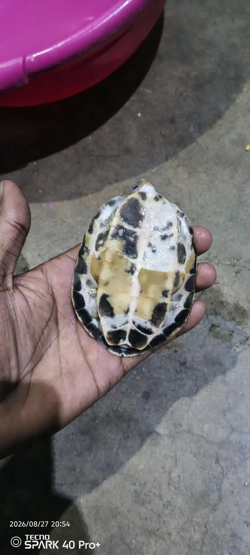 ghr ka bread h — photo 8