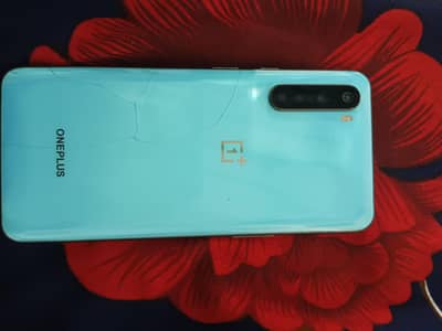 One Plus Other Model